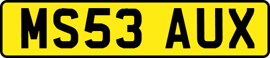 MS53AUX