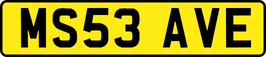 MS53AVE