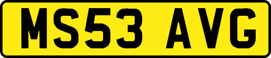 MS53AVG