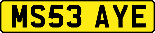 MS53AYE