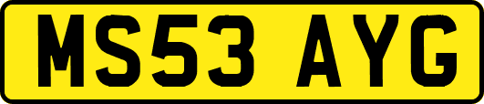 MS53AYG