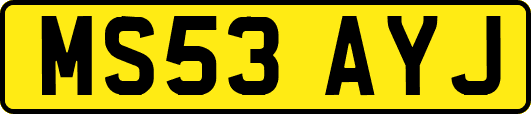 MS53AYJ