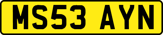 MS53AYN