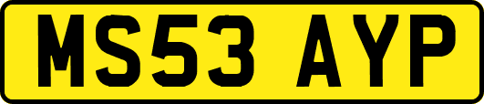 MS53AYP