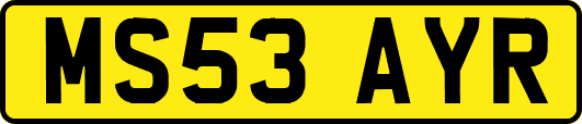 MS53AYR
