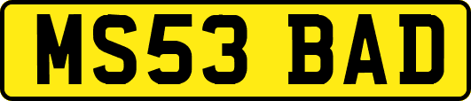 MS53BAD