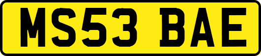 MS53BAE