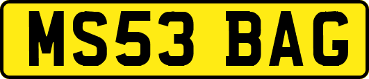 MS53BAG