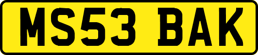 MS53BAK