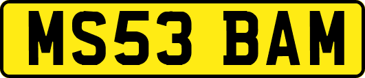 MS53BAM