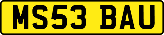 MS53BAU