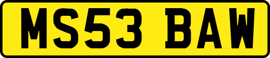 MS53BAW