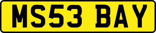 MS53BAY