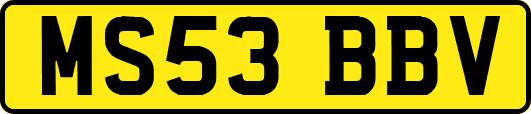 MS53BBV