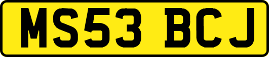 MS53BCJ