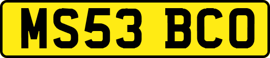 MS53BCO