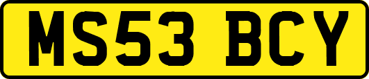 MS53BCY