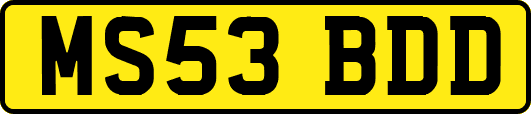 MS53BDD