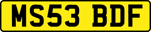 MS53BDF