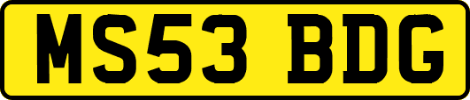 MS53BDG