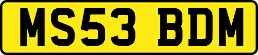 MS53BDM