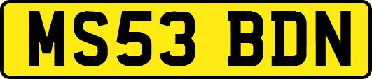 MS53BDN