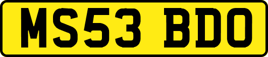 MS53BDO
