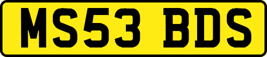 MS53BDS
