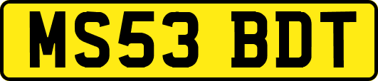 MS53BDT