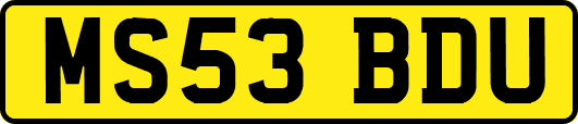 MS53BDU