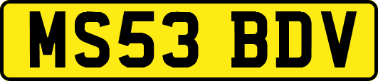 MS53BDV