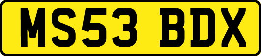 MS53BDX