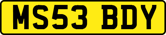 MS53BDY
