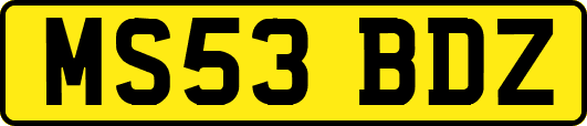 MS53BDZ