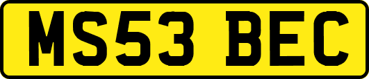 MS53BEC
