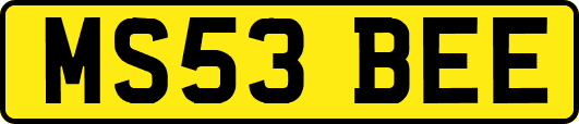 MS53BEE