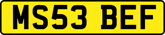 MS53BEF