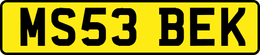 MS53BEK