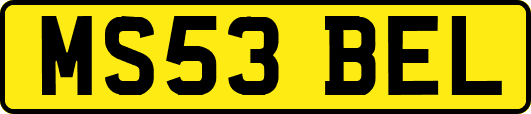 MS53BEL