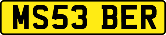 MS53BER
