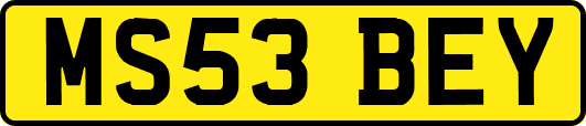 MS53BEY