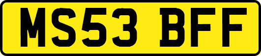 MS53BFF