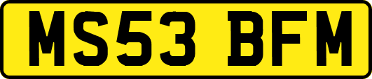 MS53BFM