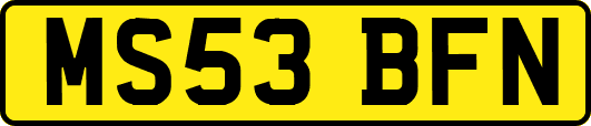 MS53BFN