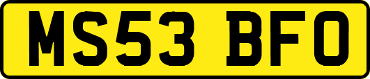 MS53BFO