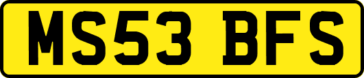 MS53BFS