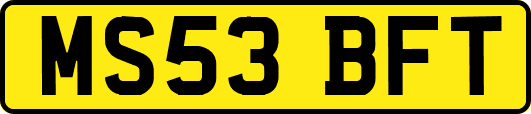 MS53BFT