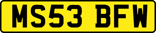 MS53BFW