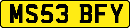 MS53BFY