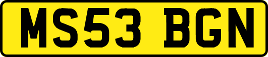 MS53BGN